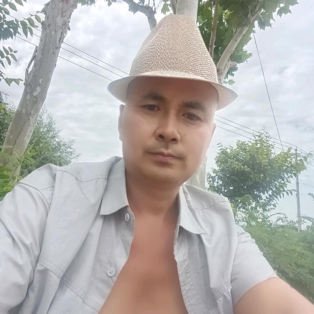 只贪烟酒不贪情