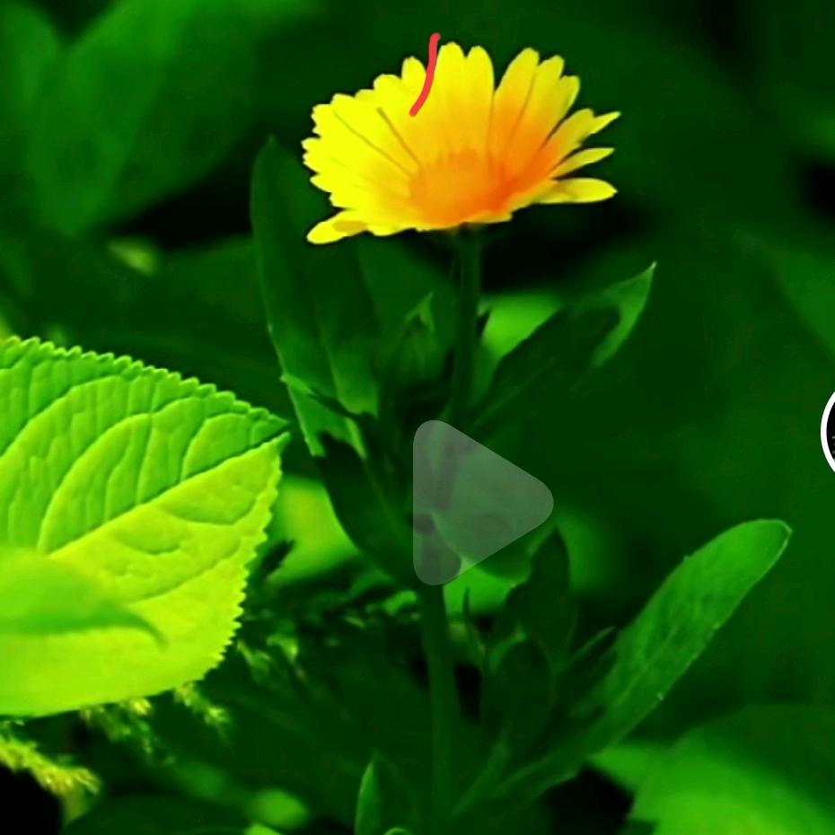 没有时间停留。