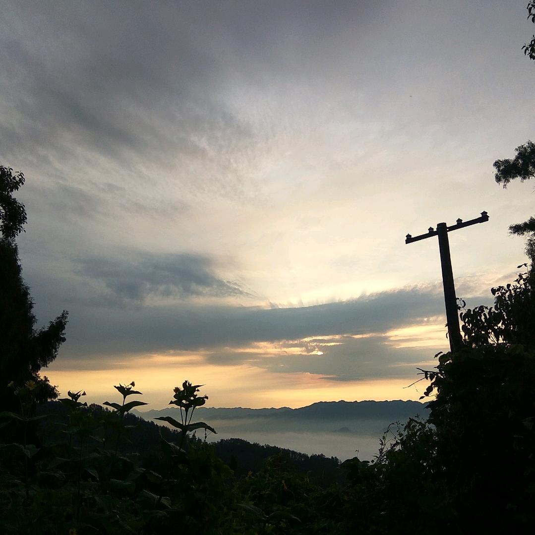 锦上添花