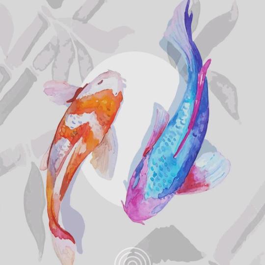 灵渊提督