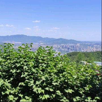 谨语慎言