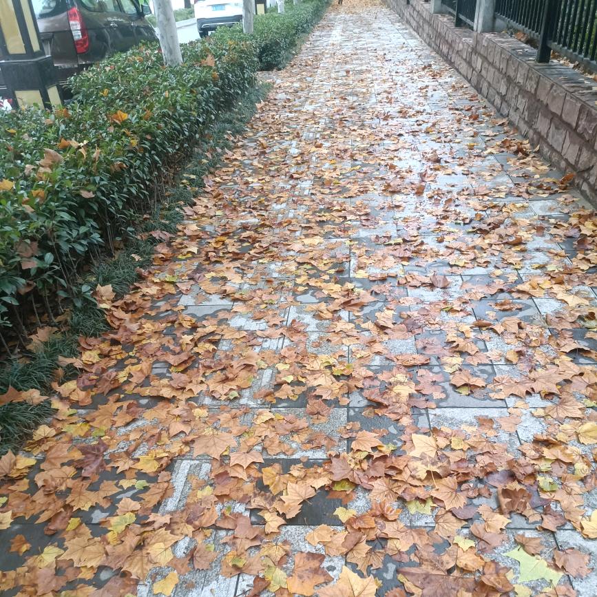 笨拙