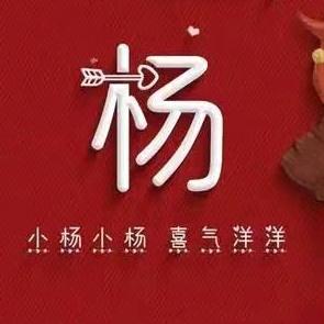 杨志在