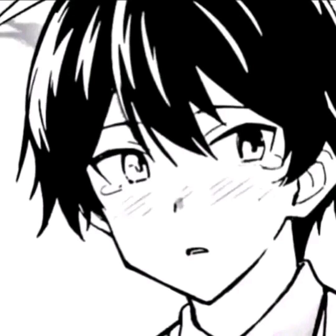 鸽