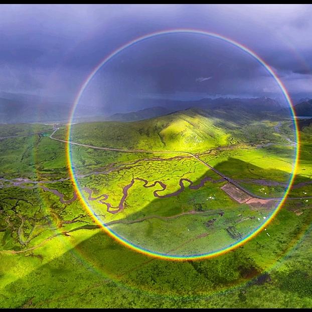 哎呀(ღ˘⌣˘ღ)