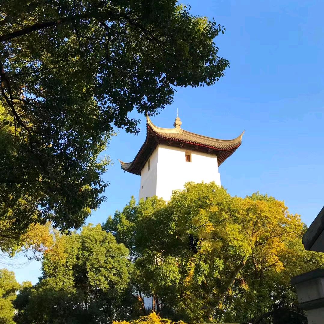 虎说八道