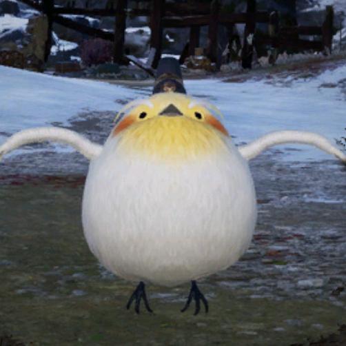 为什么一定要有名字