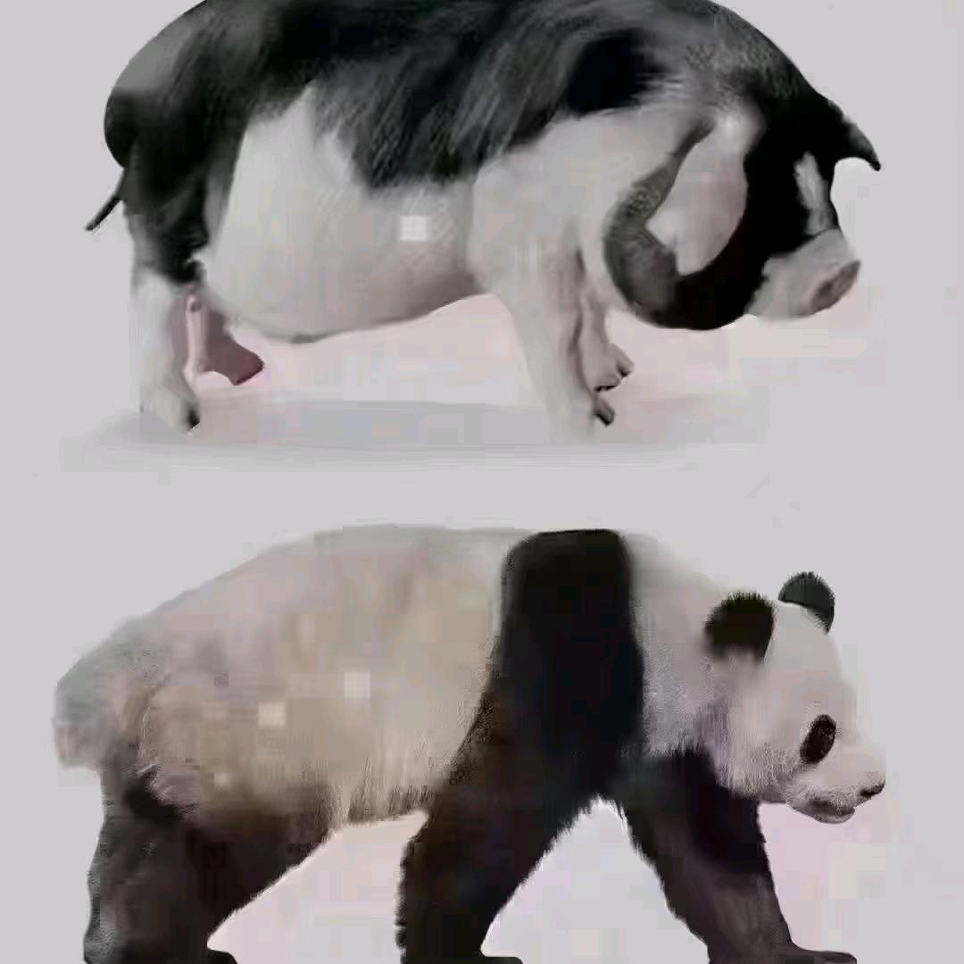 删除过去