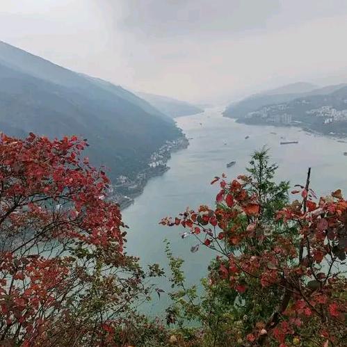 北极雪