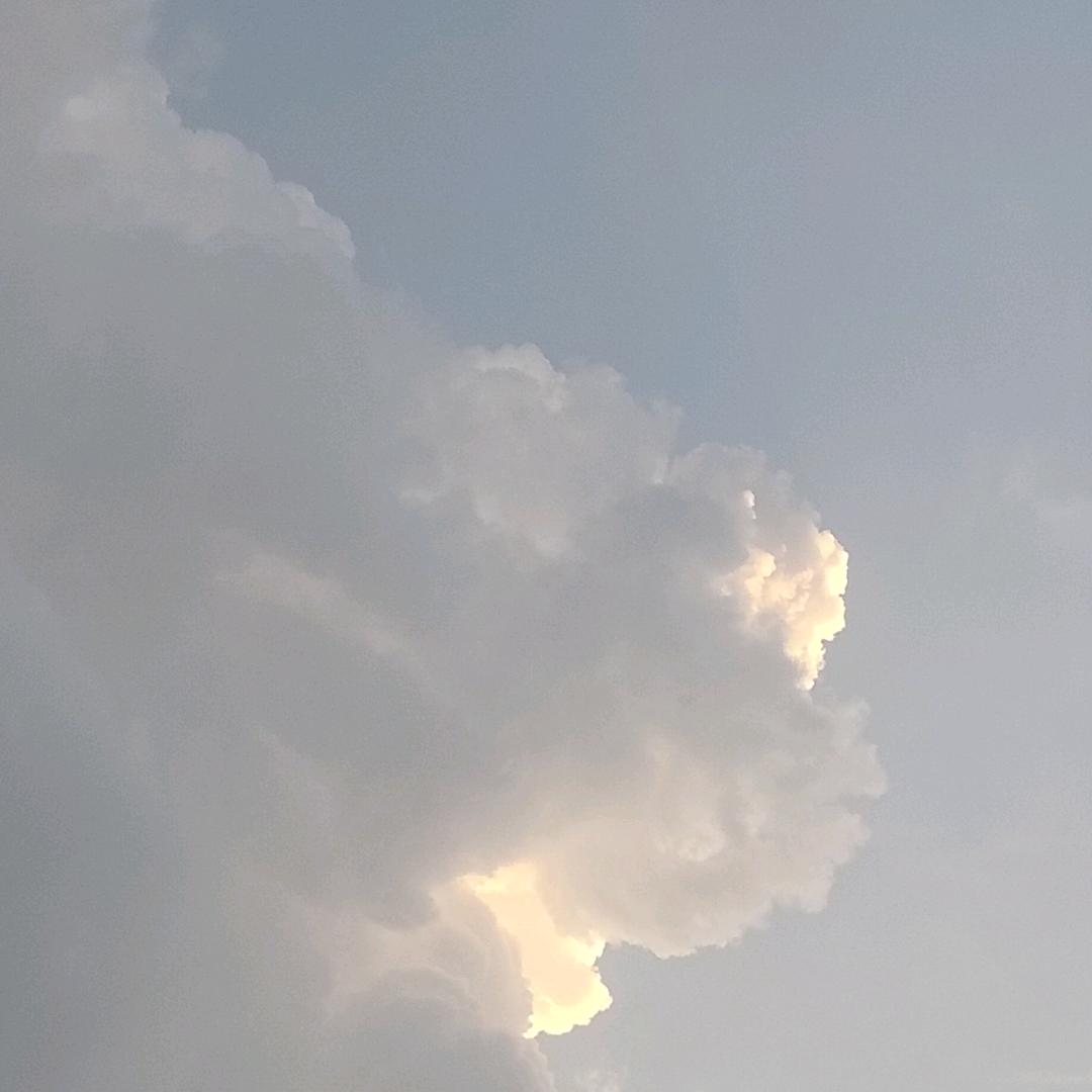 欢哥