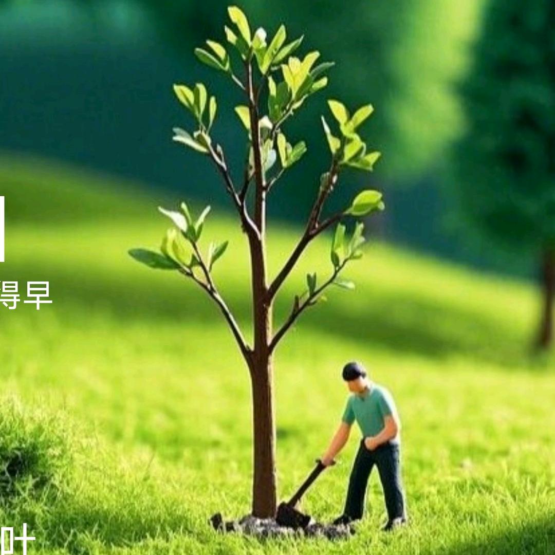 感悟