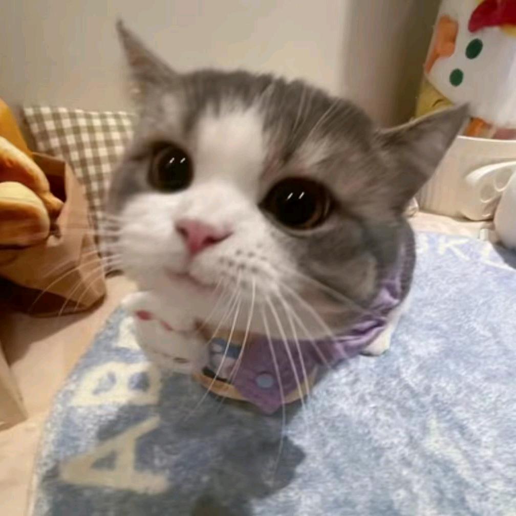 丫丫