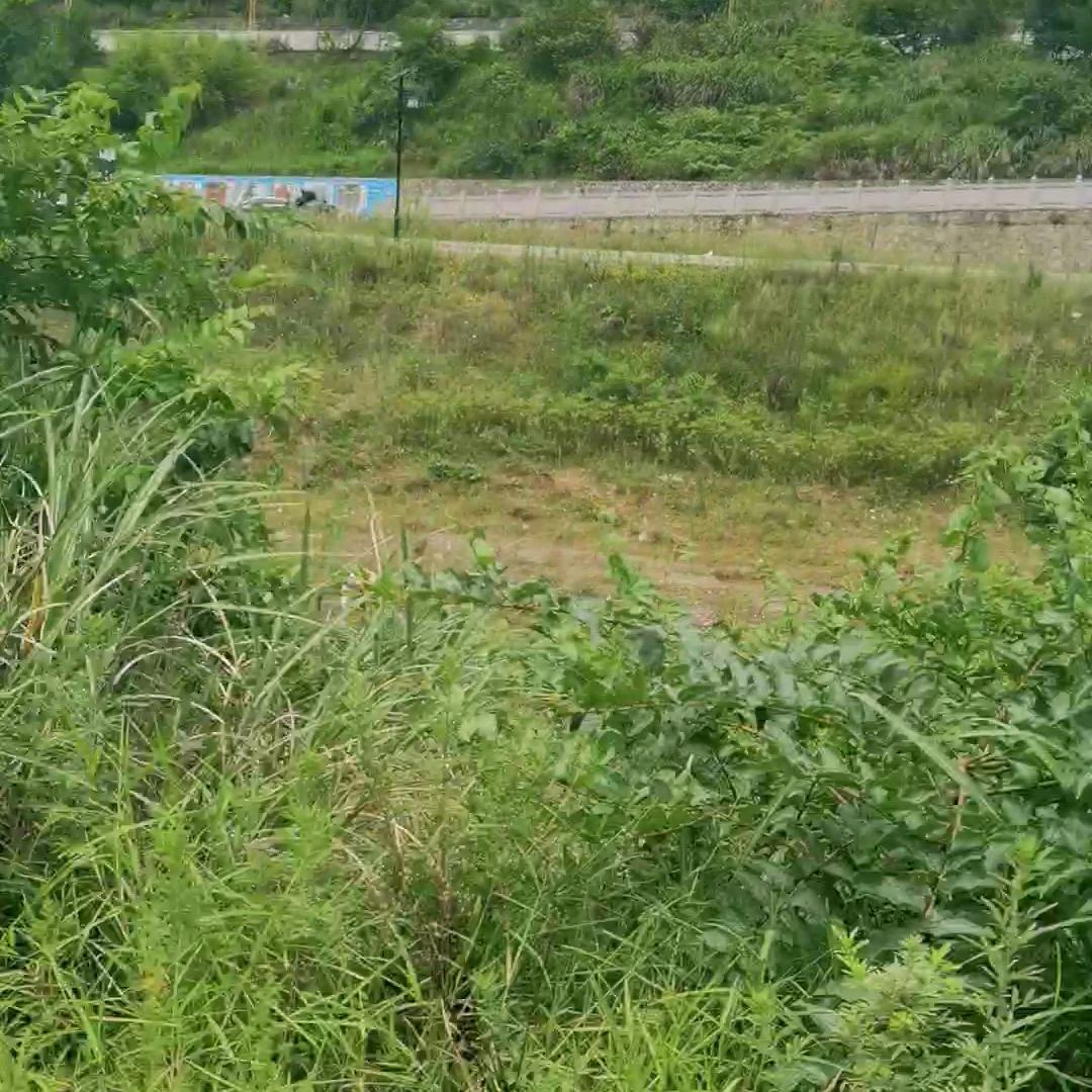 红运128