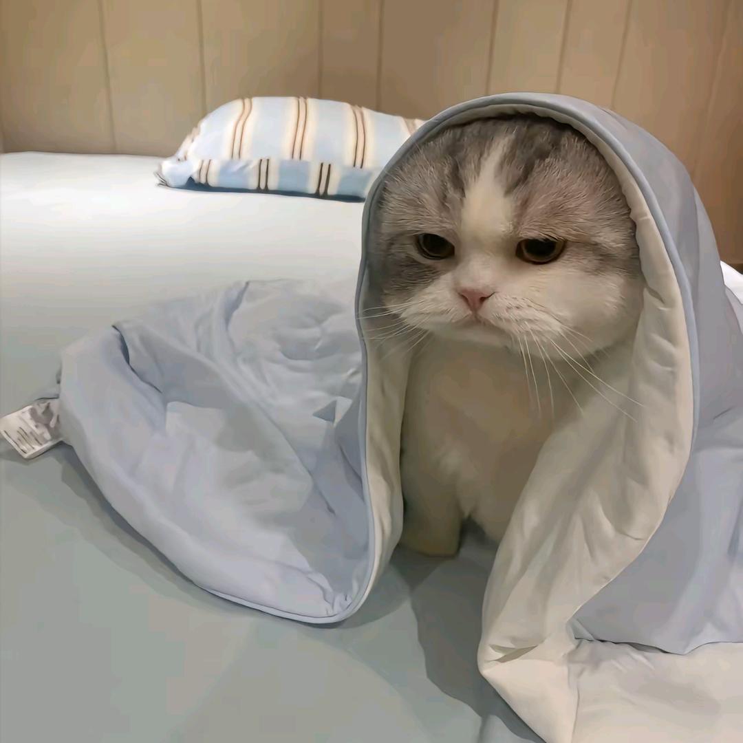 捷