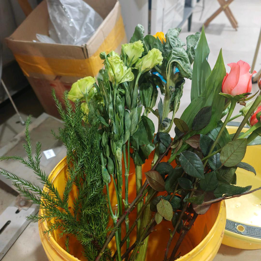 麦兜儿童羊绒衫