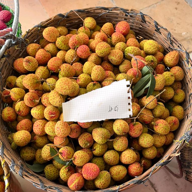 观音绿荔枝发哥