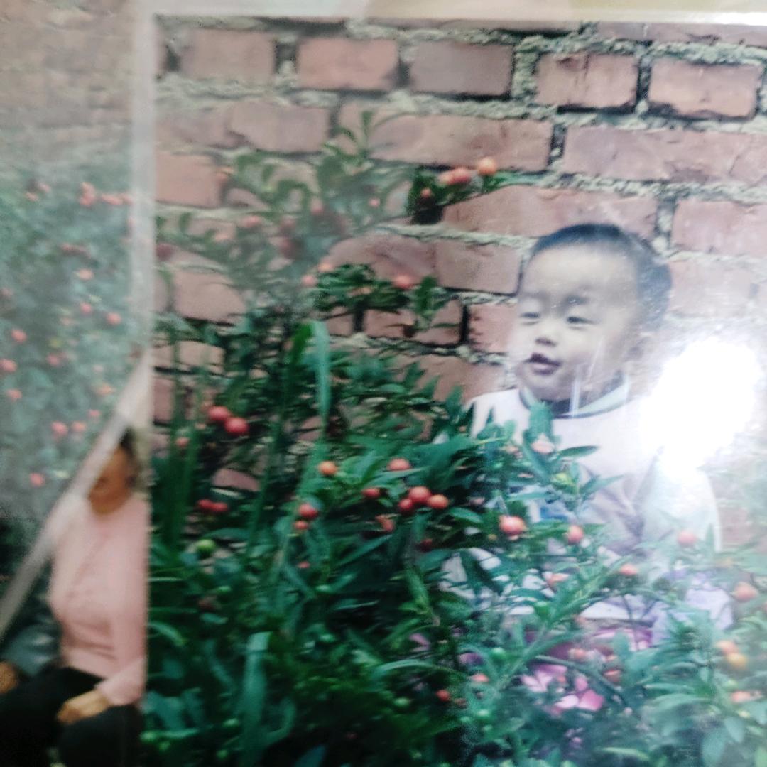 若知是梦何需醒，回眸一笑百媚生