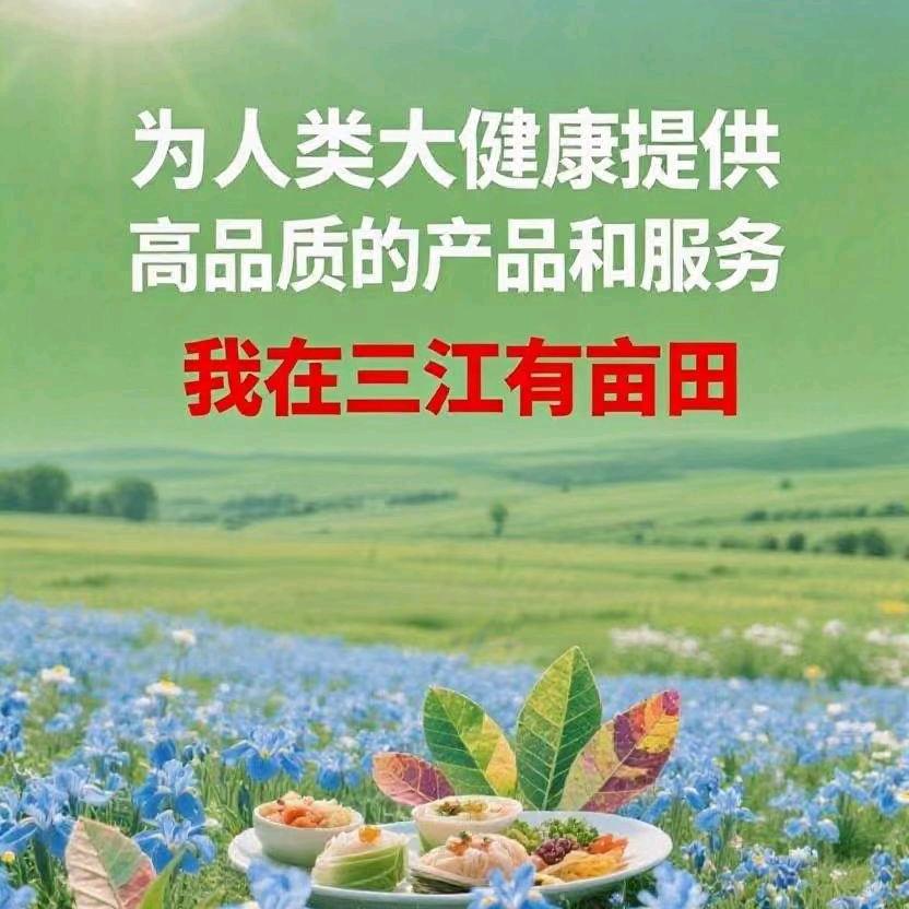 我在三江有亩田