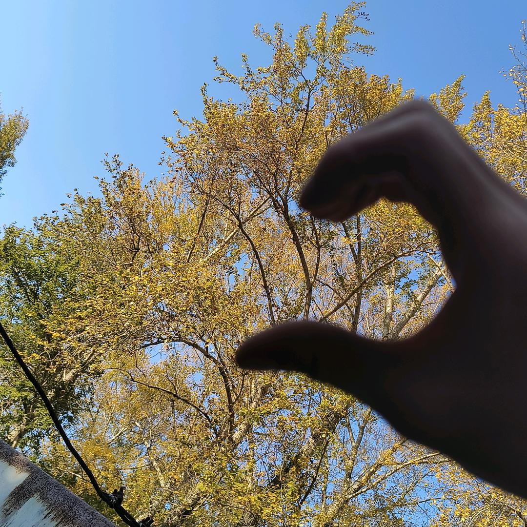 随便