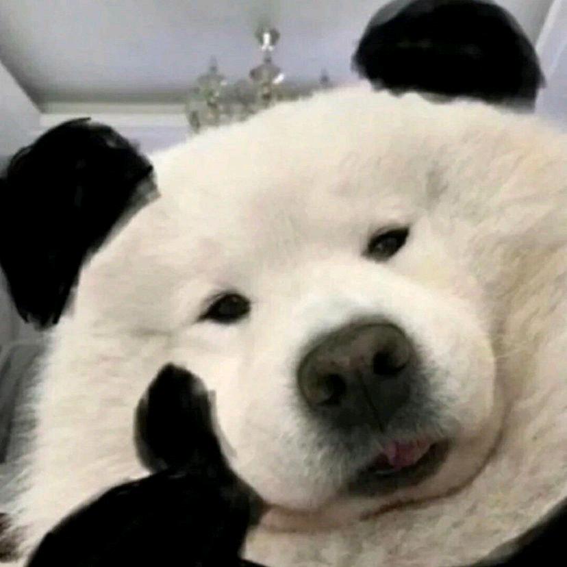 熊猫.🐼