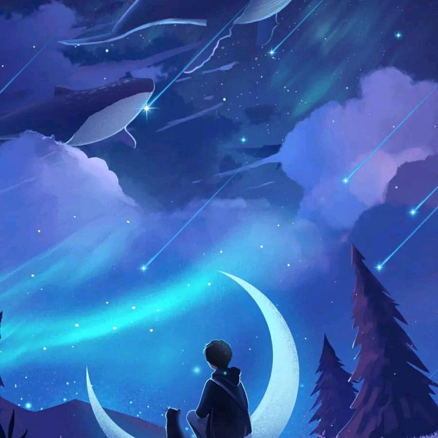💫星 辰💫