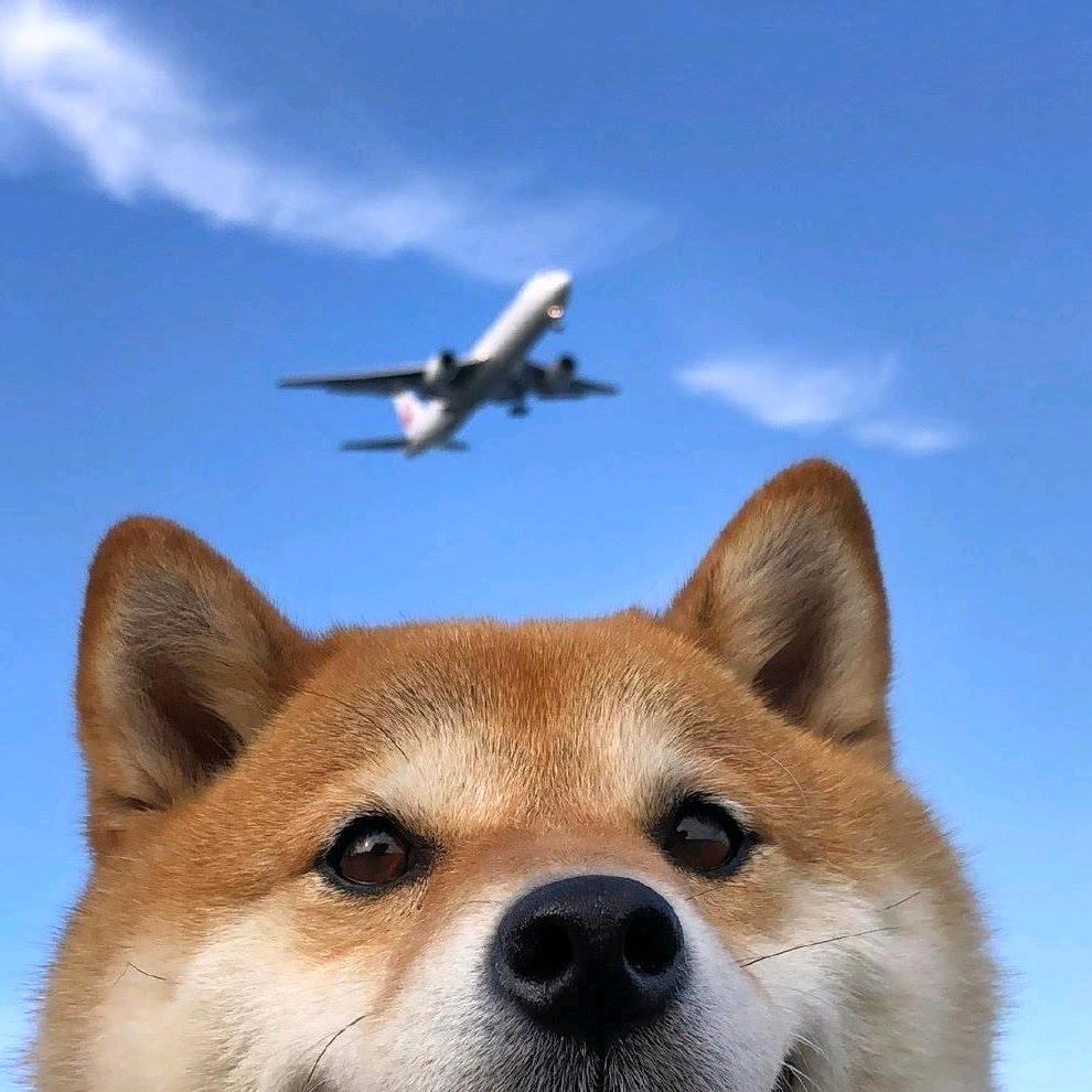 荣先森ღ