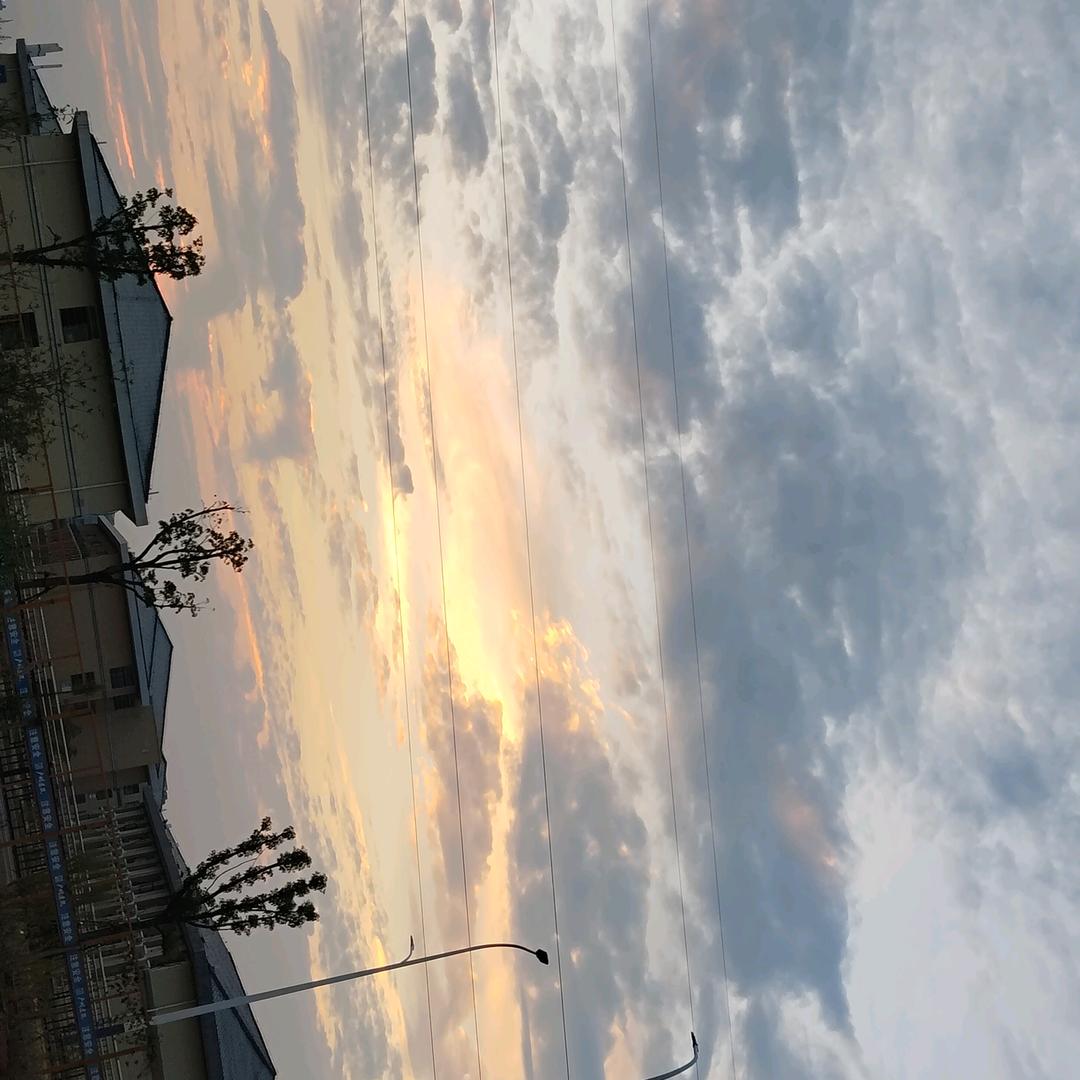 风信子
