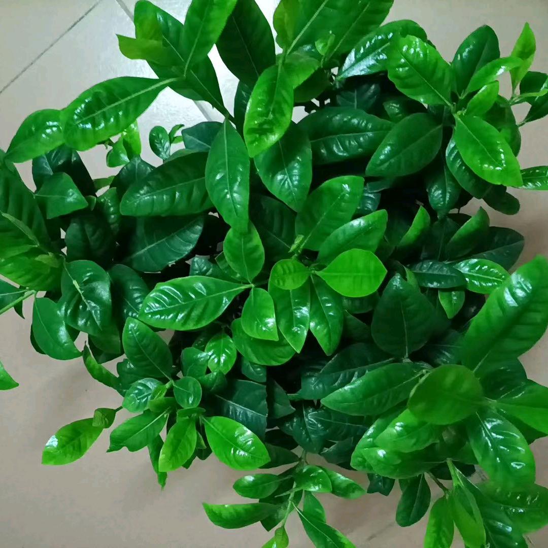 回忆曾经