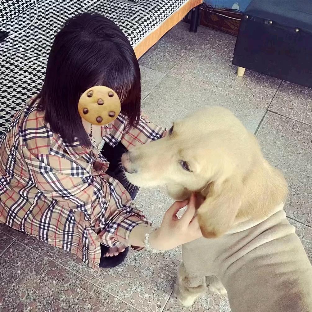 小可爱(๑•.•๑)