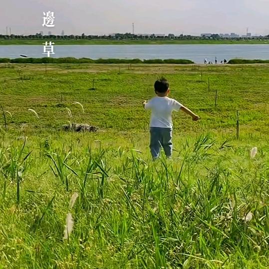 米粒