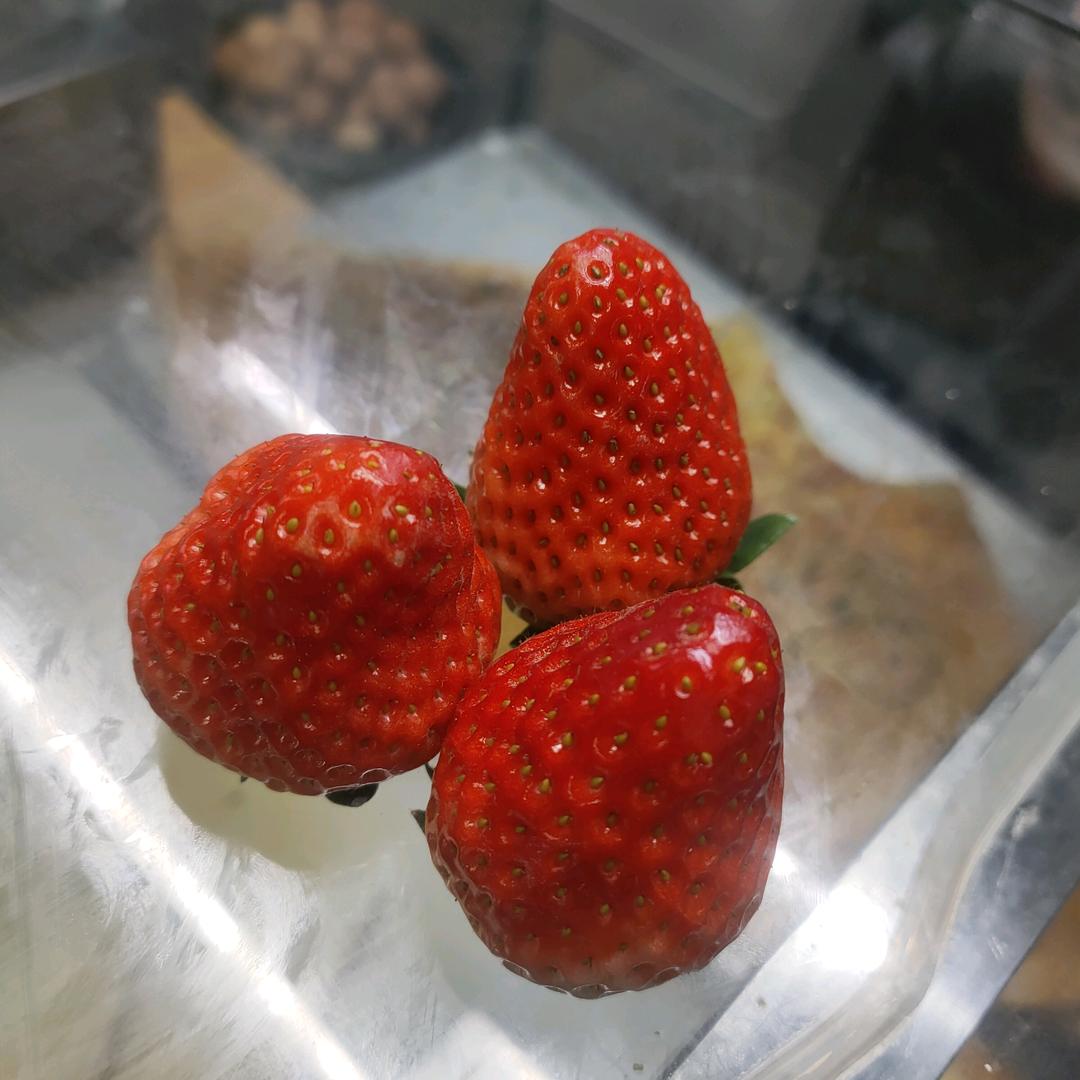 太平洋