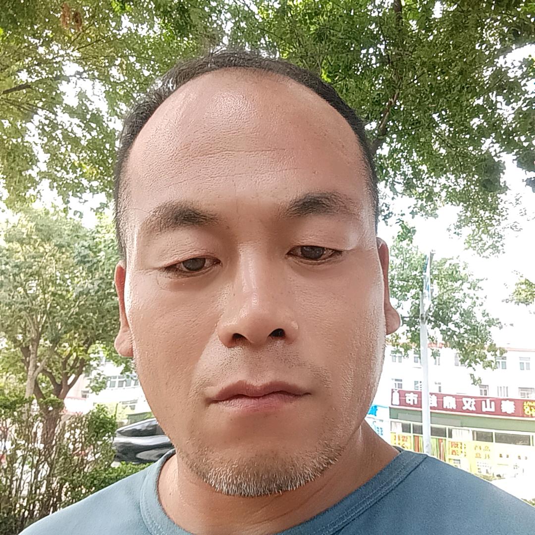 马二,货运出租车。(大号)