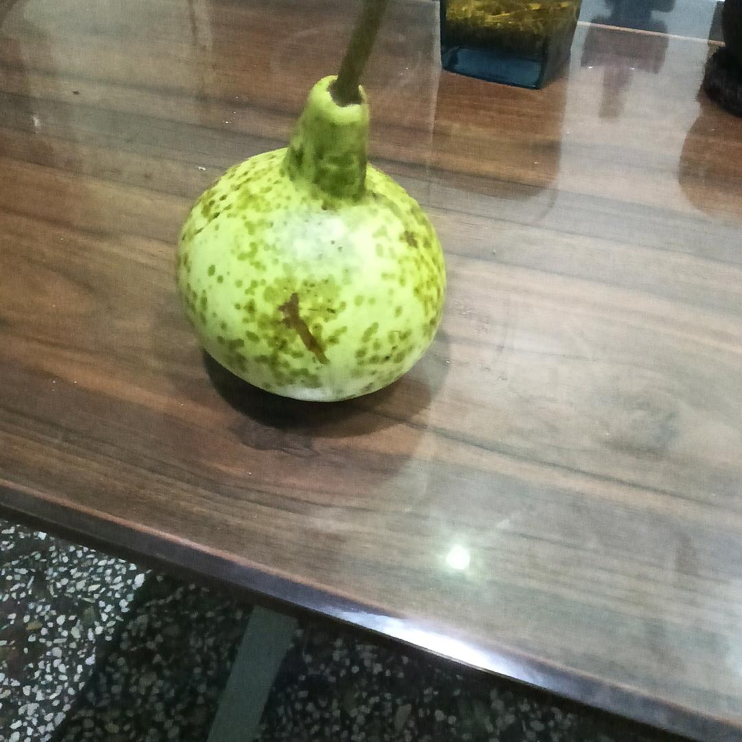 守护aj保护梦泪。