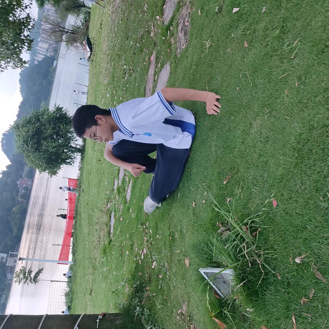 静待花开：