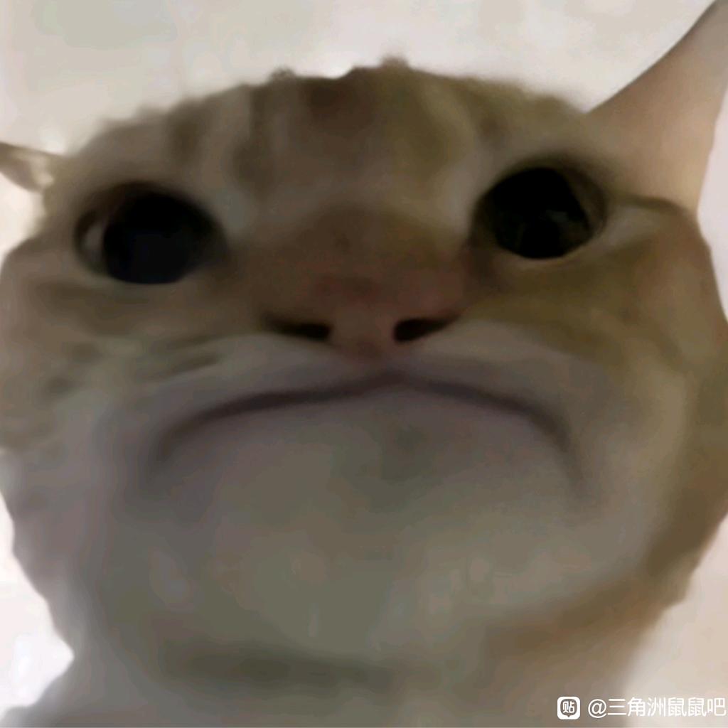 黑鱼
