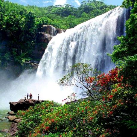 赤水小王.多多侦探