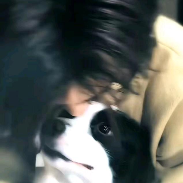 南方甜虾