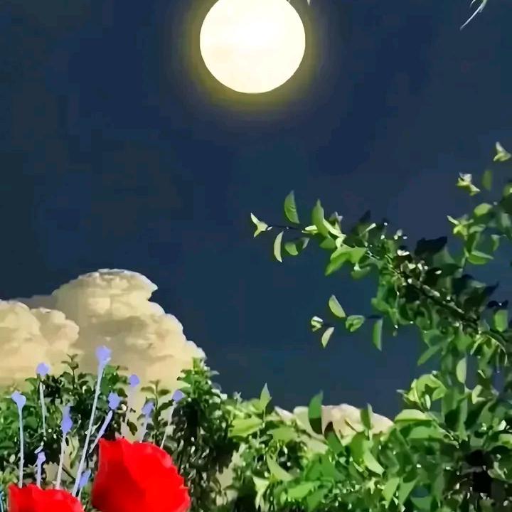 汪