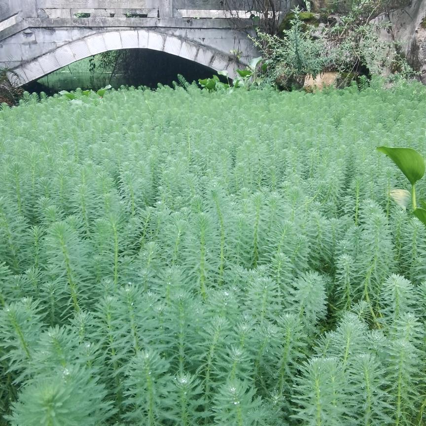 不想说
