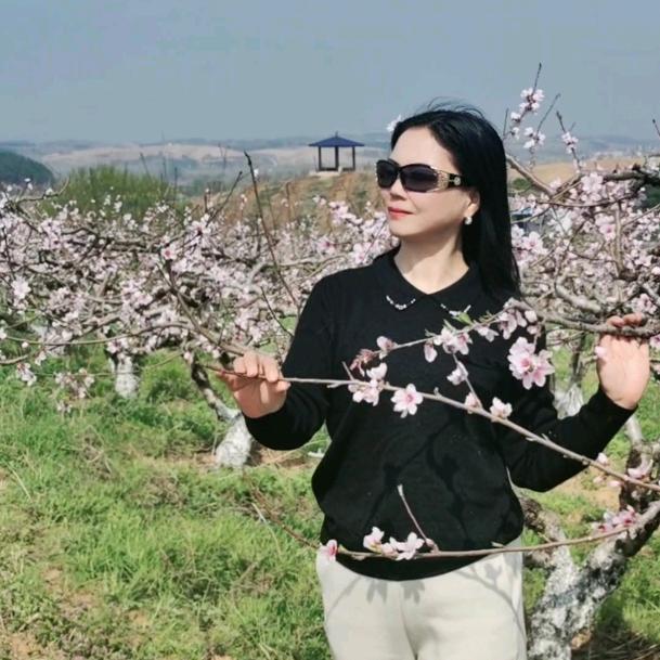 明明白白是我心