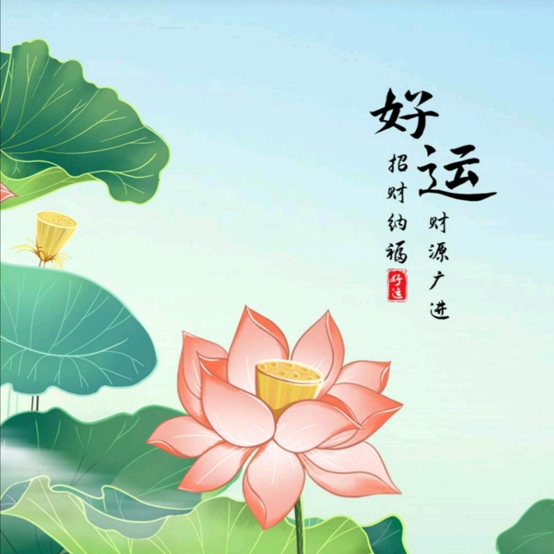 库车老张