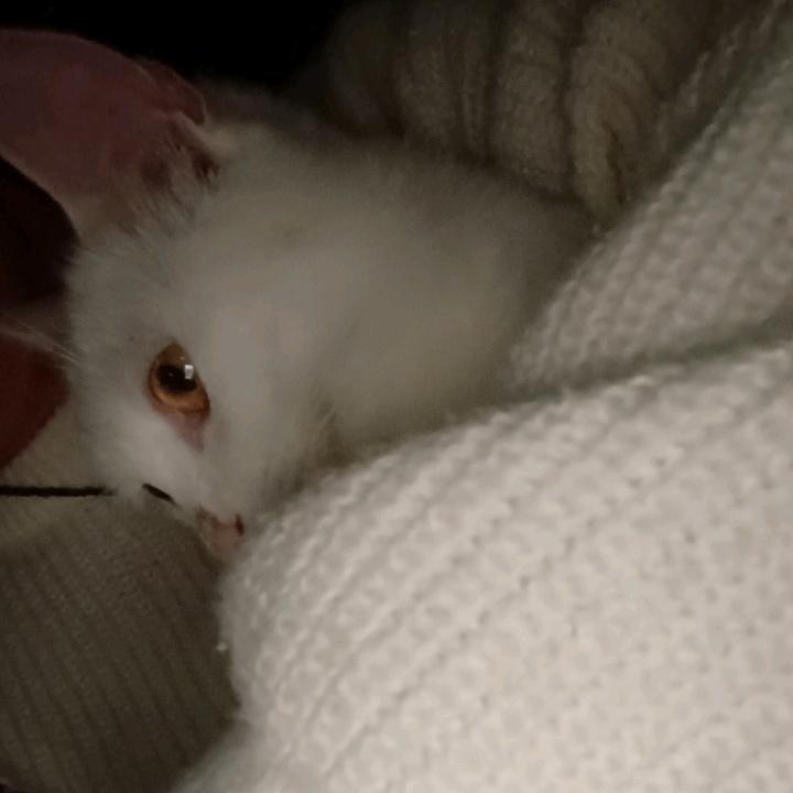 努力让自己做一个开心的女孩❤️