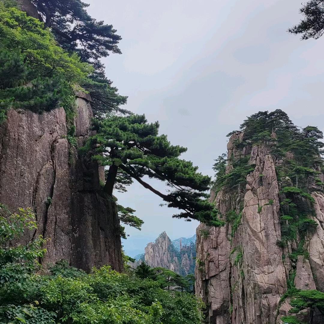 凯旋而归