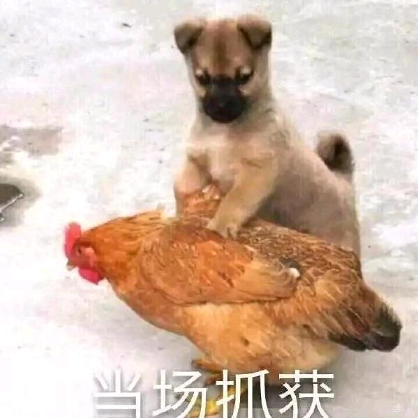 找一个陪伴一生的人