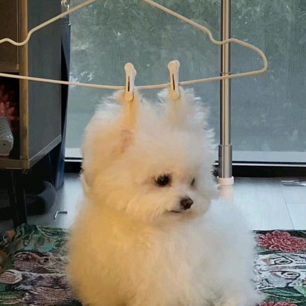 纯心小年糕🫐