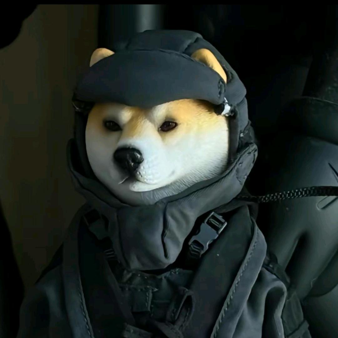 半夜睡不着跑到厕所去调戏母蟑螂