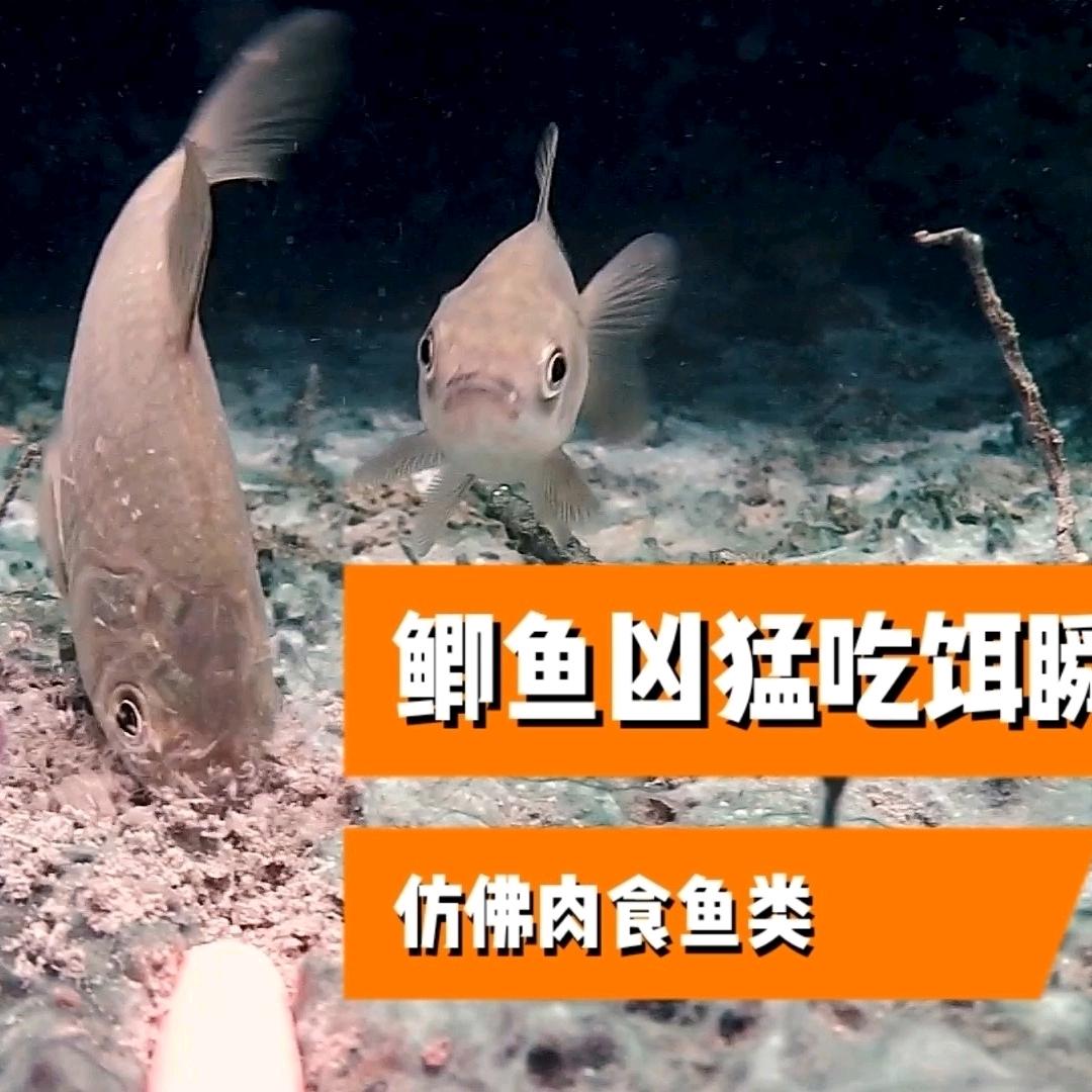三哥户外钓鱼