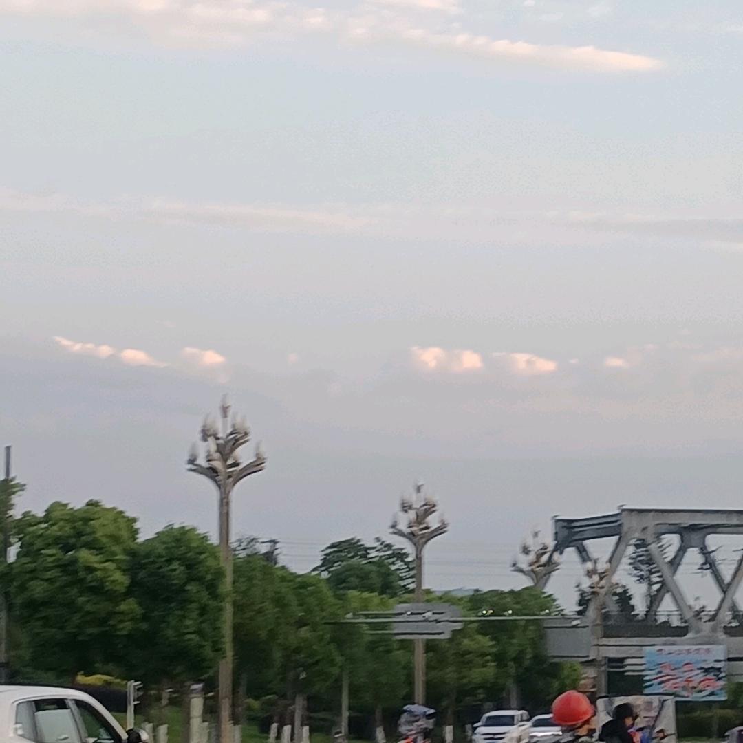 西瓜皮