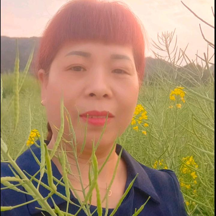 随缘遇见🌹旧欢如梦🍎