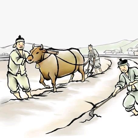 山野村夫